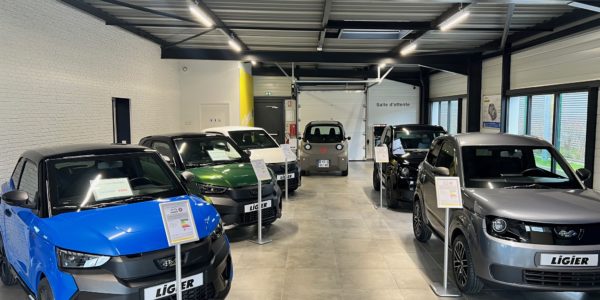 showroom showroom